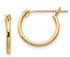 Precious Metal (No Stones) Earring