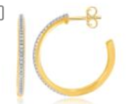 Earring
